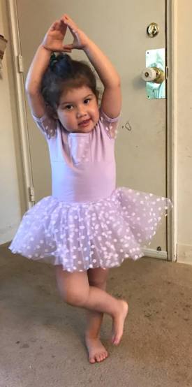 14625303_1510773182272925_514804340_n